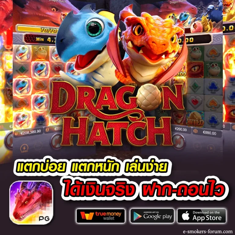 เว็บbali168up